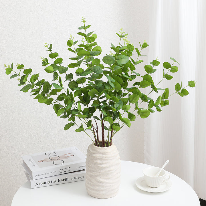 Decorative Plants