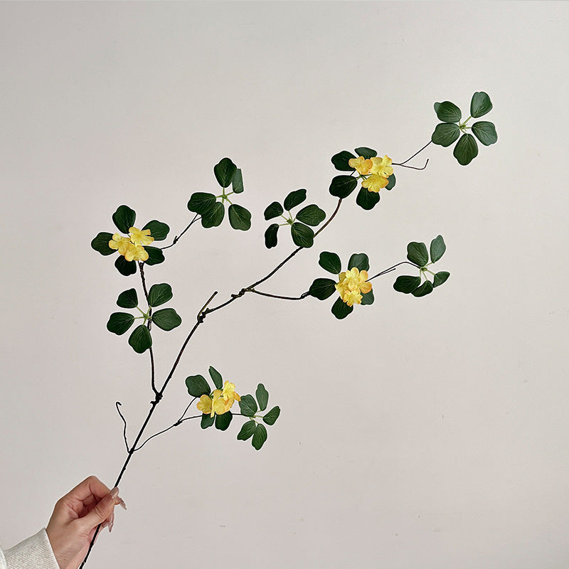 Decorative Botanical