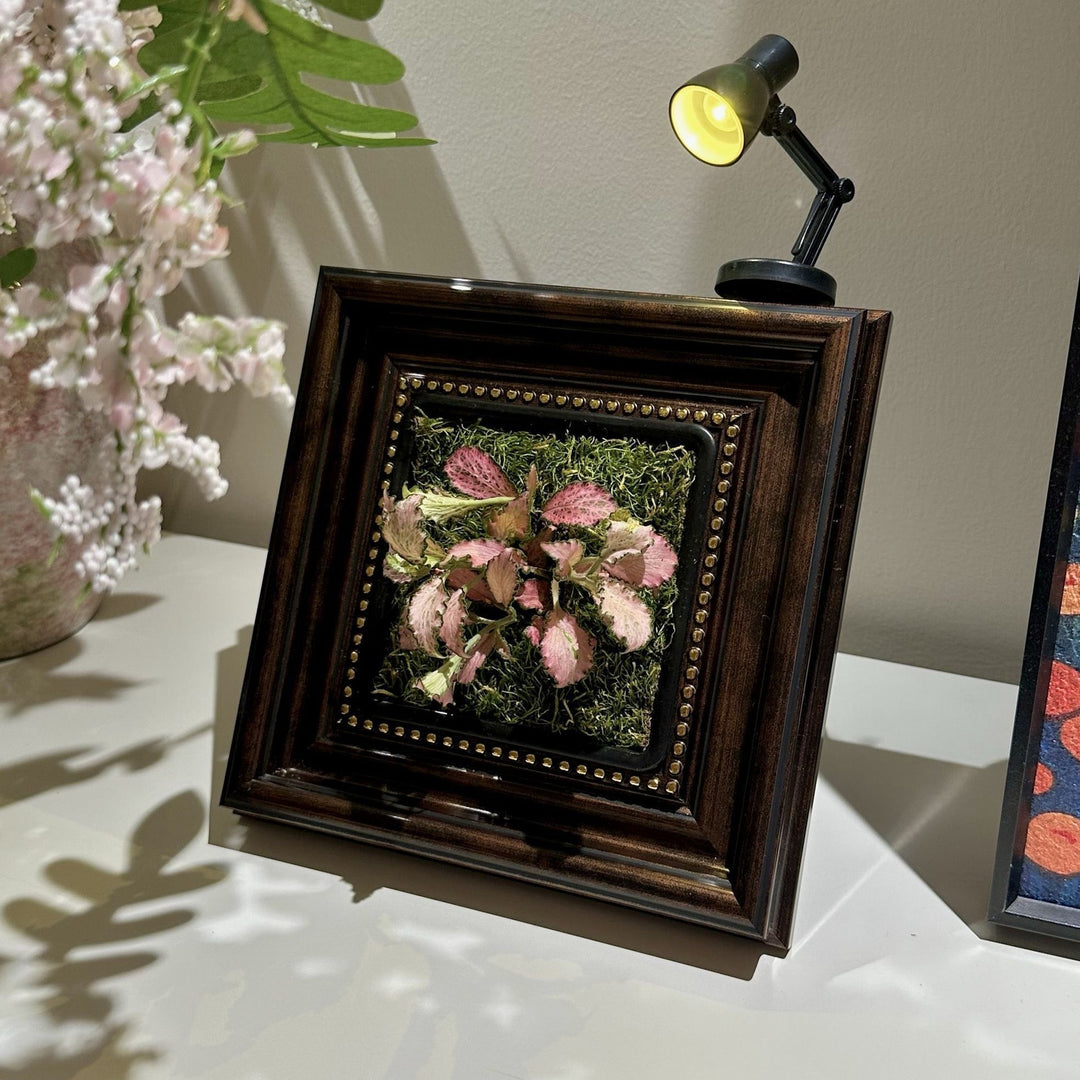 Decorative Plant