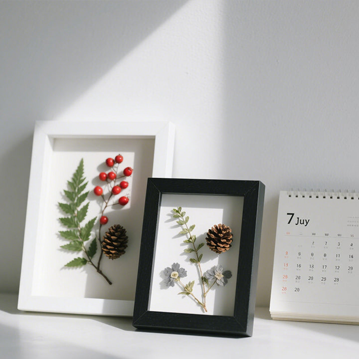 Framed Botanical Art Display