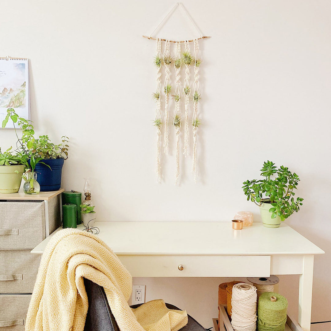 Macrame Plant Wall Hanging Organizer