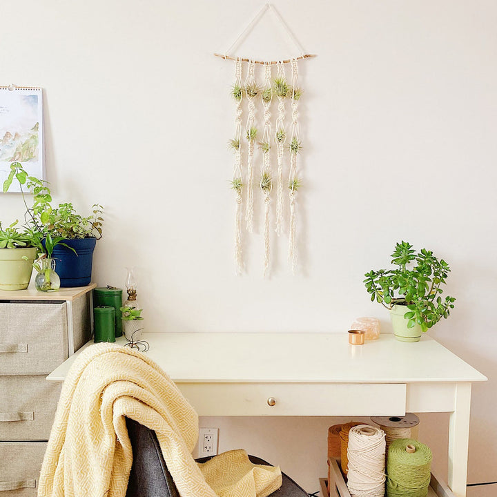 Macrame Plant Wall Hanging Organizer