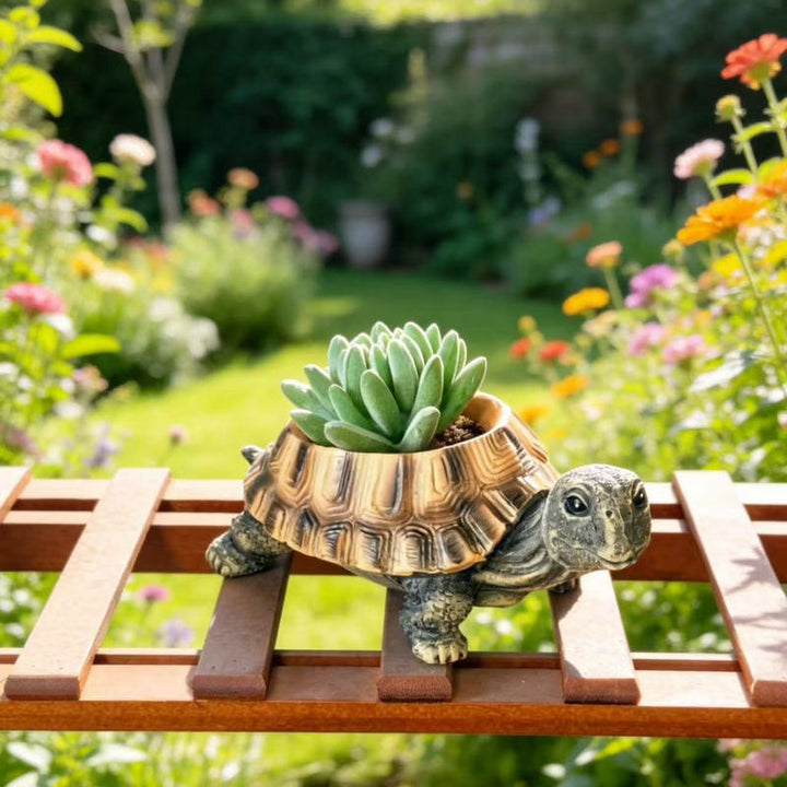 Decorative Plant Pots