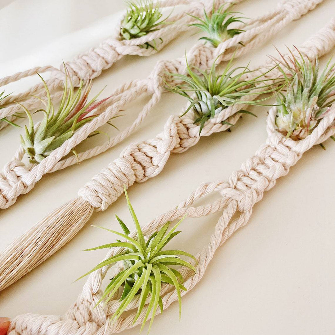 Elegant Macrame Plant Wall Hanging