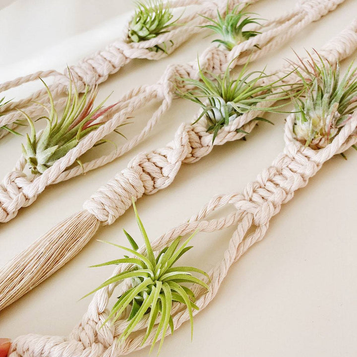 Elegant Macrame Plant Wall Hanging
