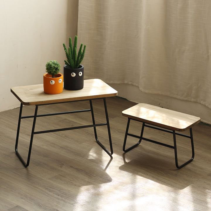 Modern coffee table in minimalist design