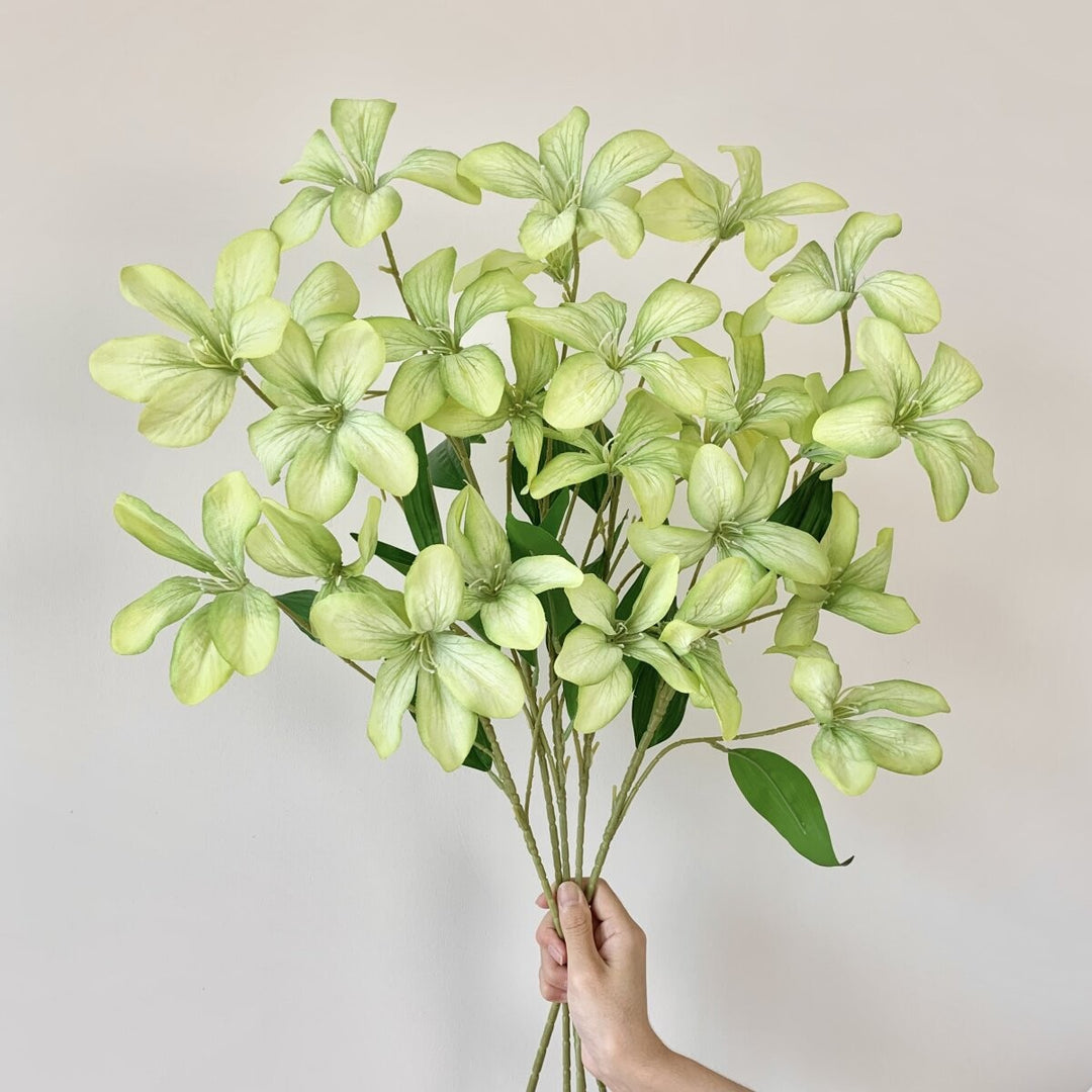 Decorative Plant