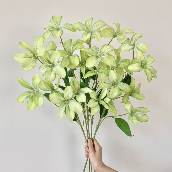 Decorative Plant