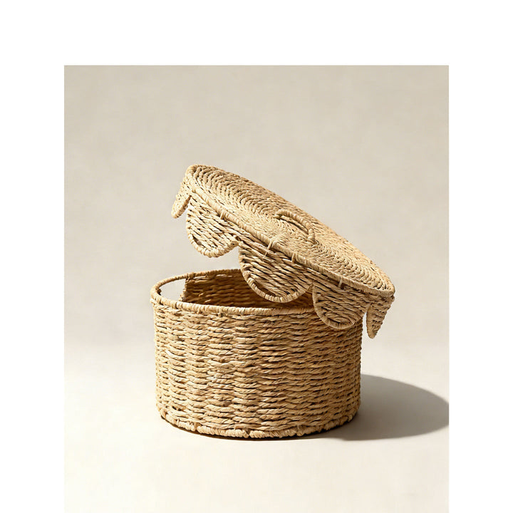 Decorative storage basket with lid