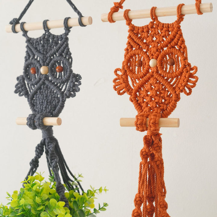 Decorative Macrame Owl Planter