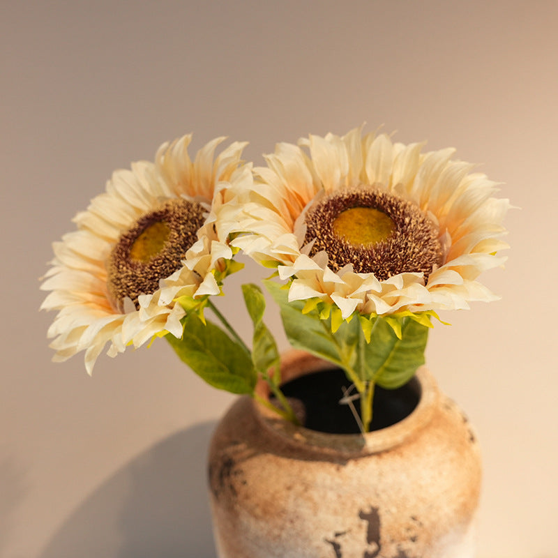 Decorative Plant