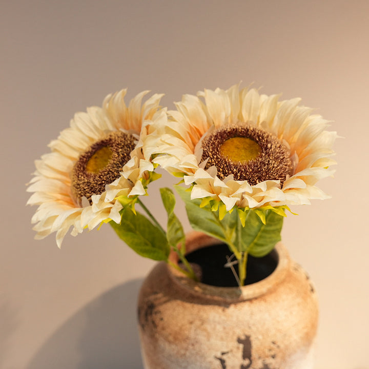 Decorative Plant