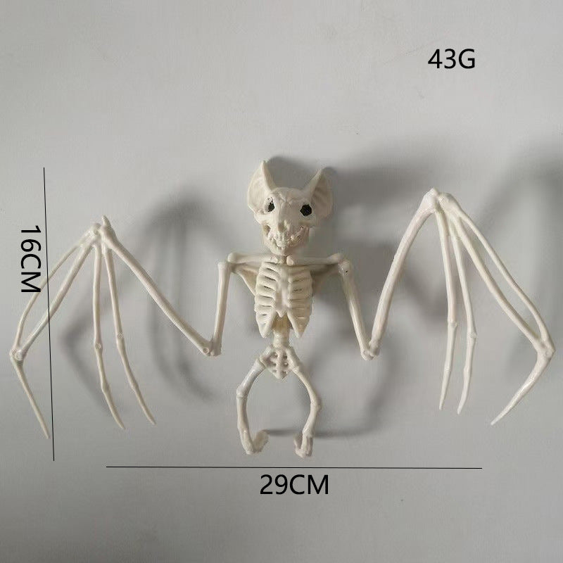 Anatomical teaching skeleton