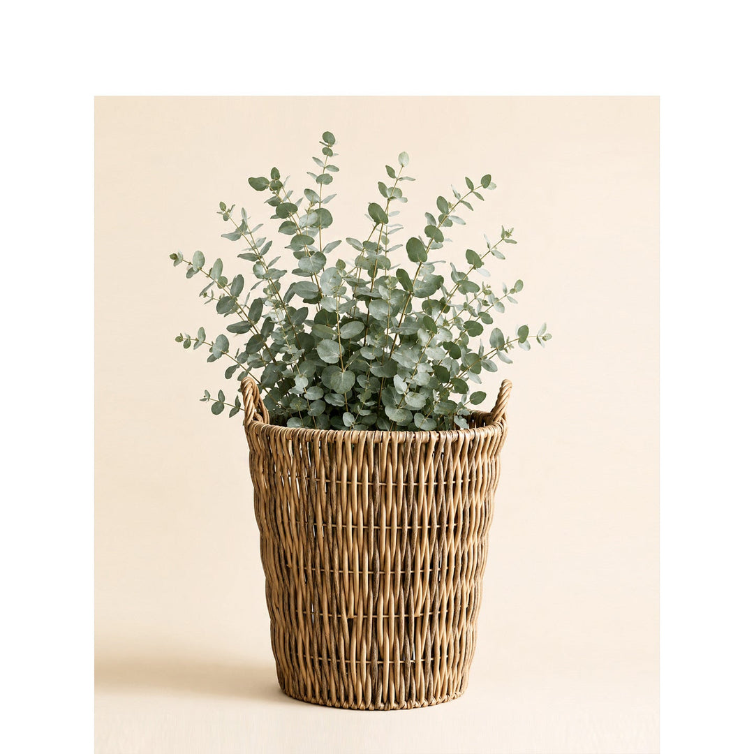 Storage basket