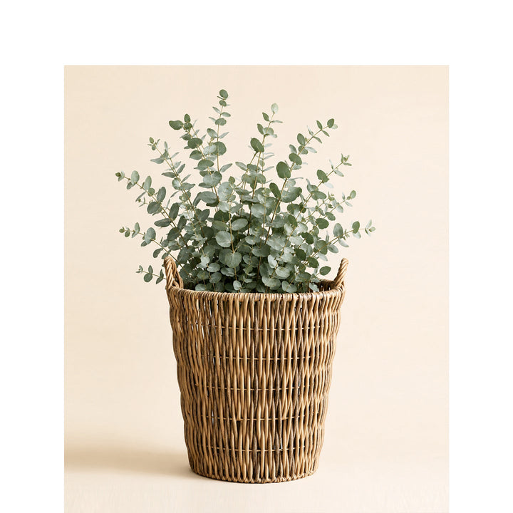 Storage basket