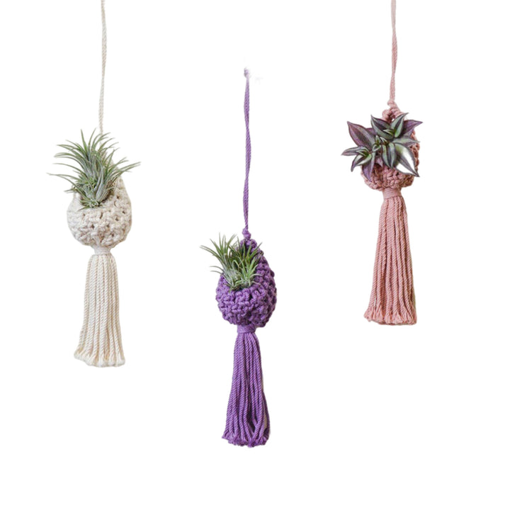 Macrame Hanging Plant Holder with Decorative Tassel