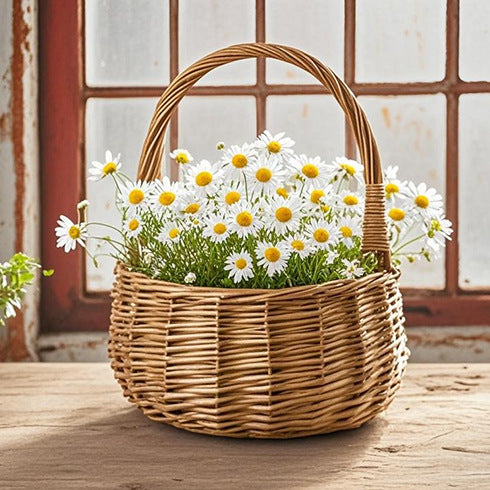 Braided basket with practical handle