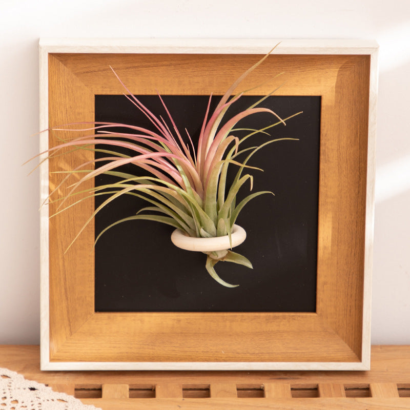 Wall Art for Home Decoration