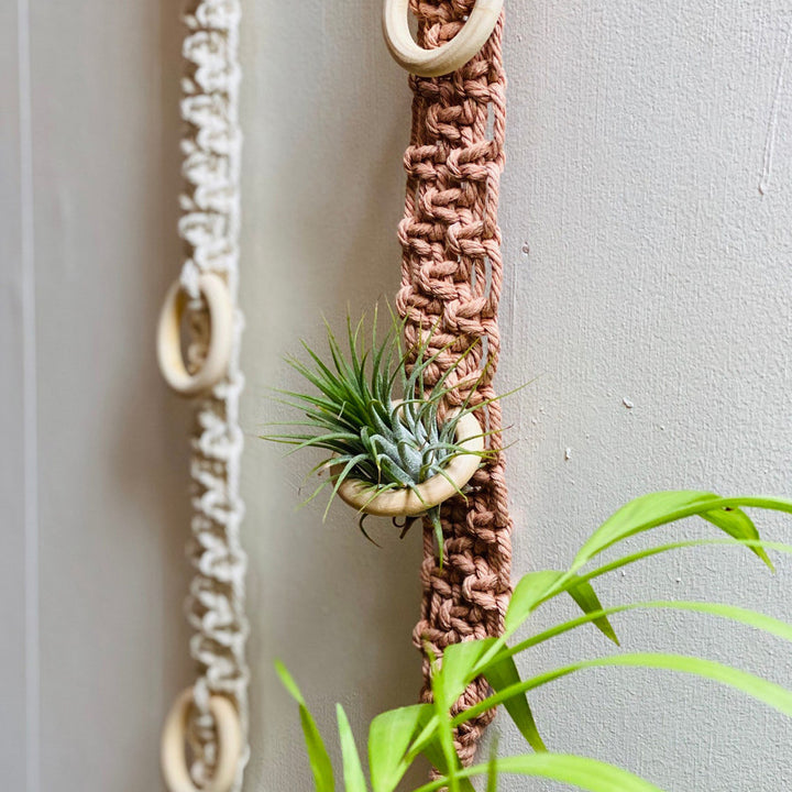 Macrame Wall Plant Holder