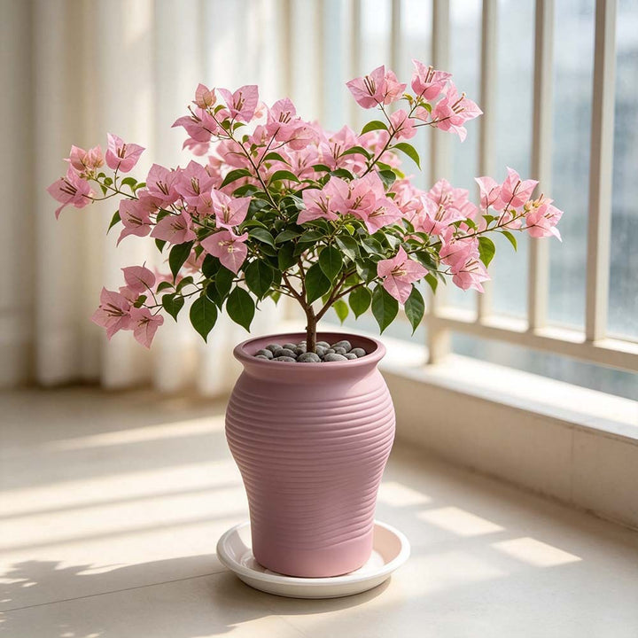 Decorative Textured Planter Vase