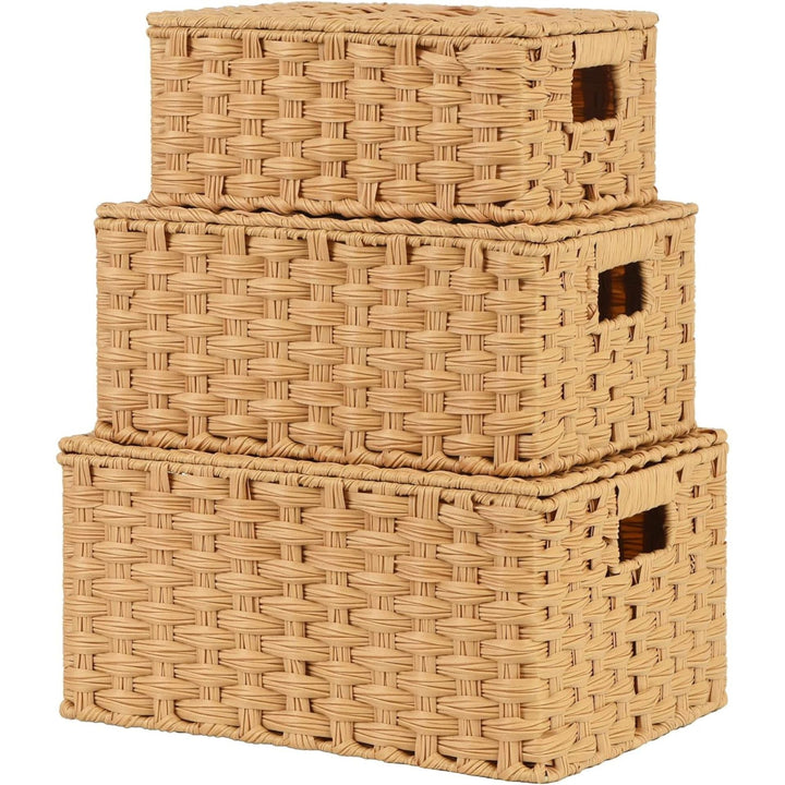 Handwoven Storage Baskets Set