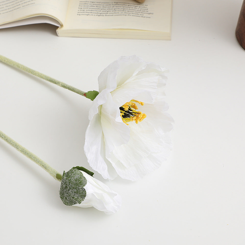 Realistic artistic poppy flower