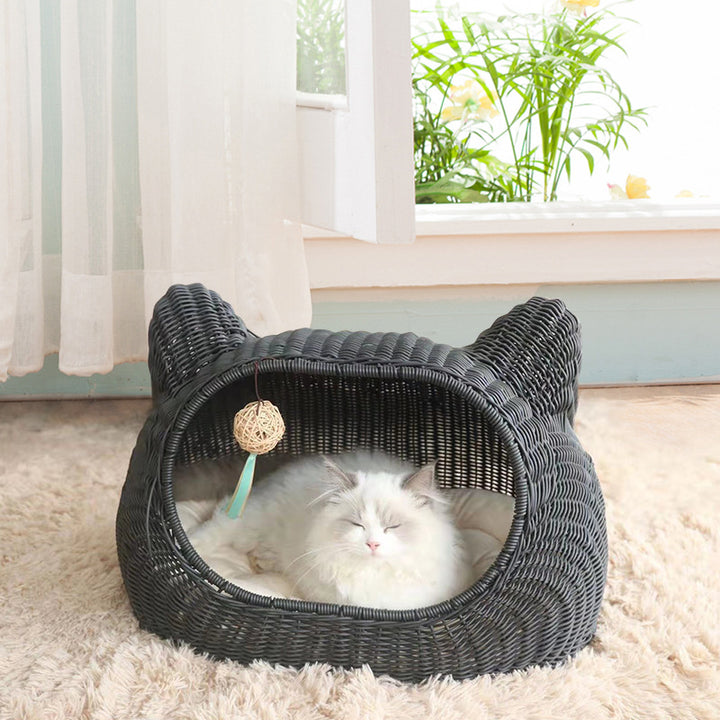 Cat bed