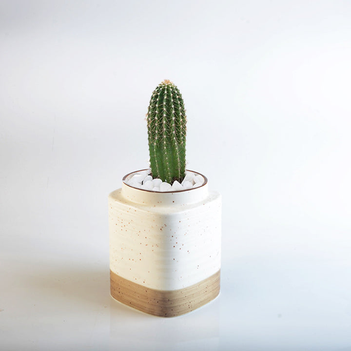 Decorative ceramic container