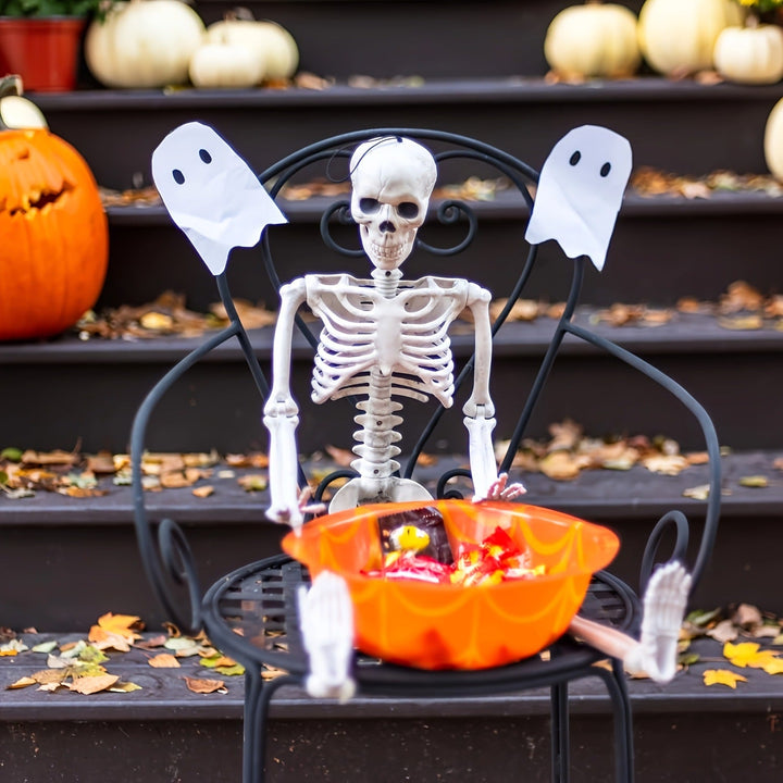 Anatomical teaching skeleton