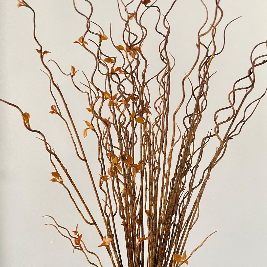Decorative Twisted Branch Arrangement