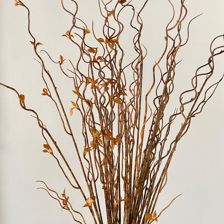 Decorative Twisted Branch Arrangement