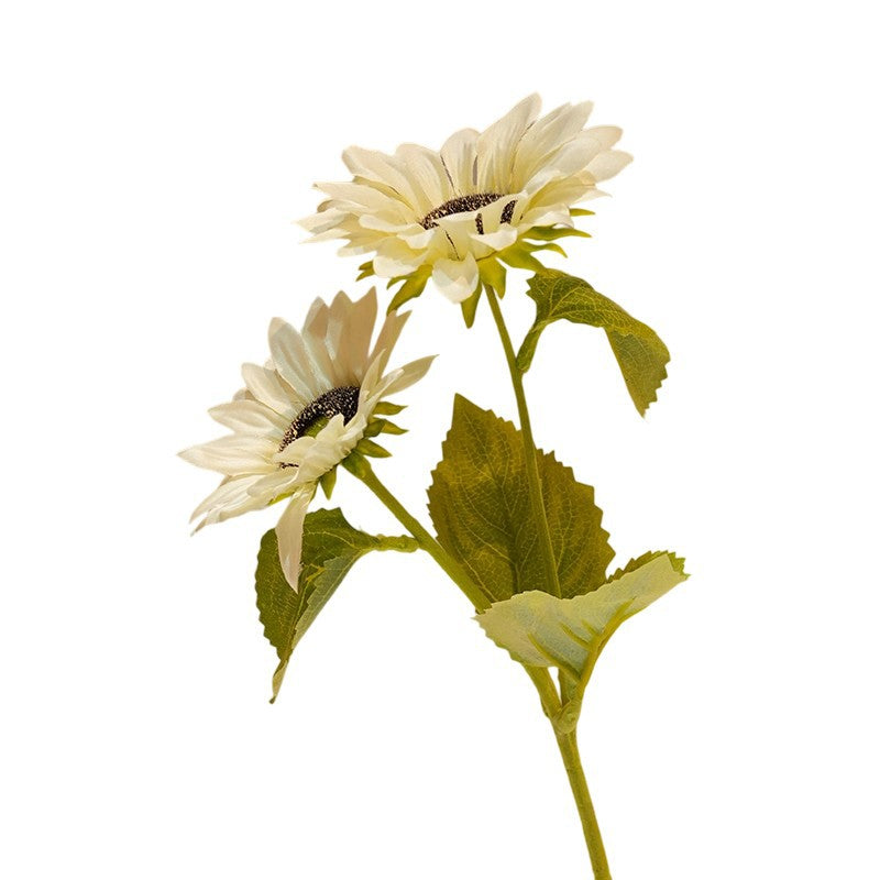 Decorative Sunflower