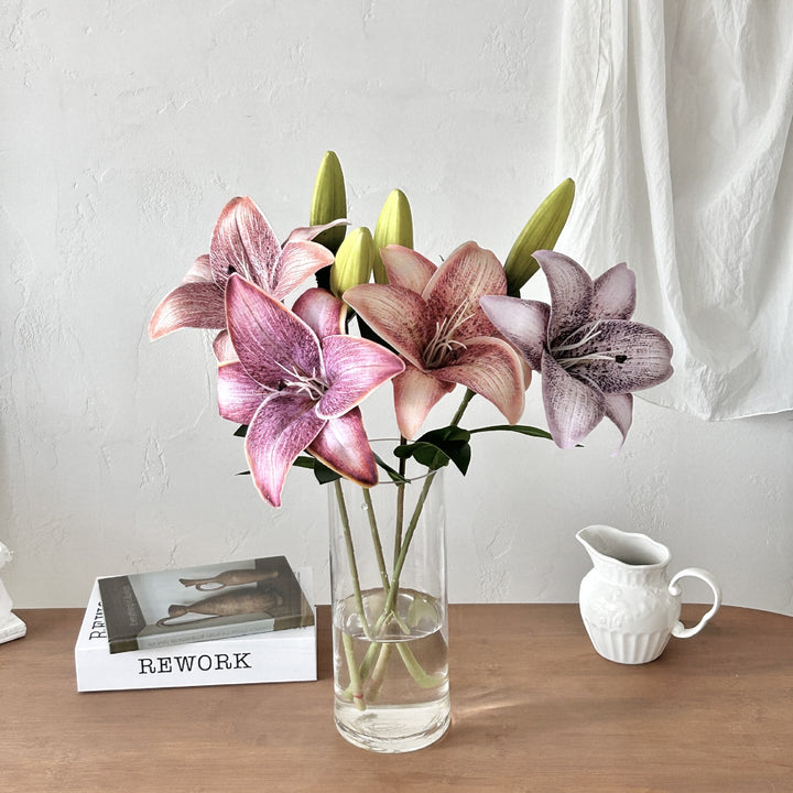 Decorative Orchid
