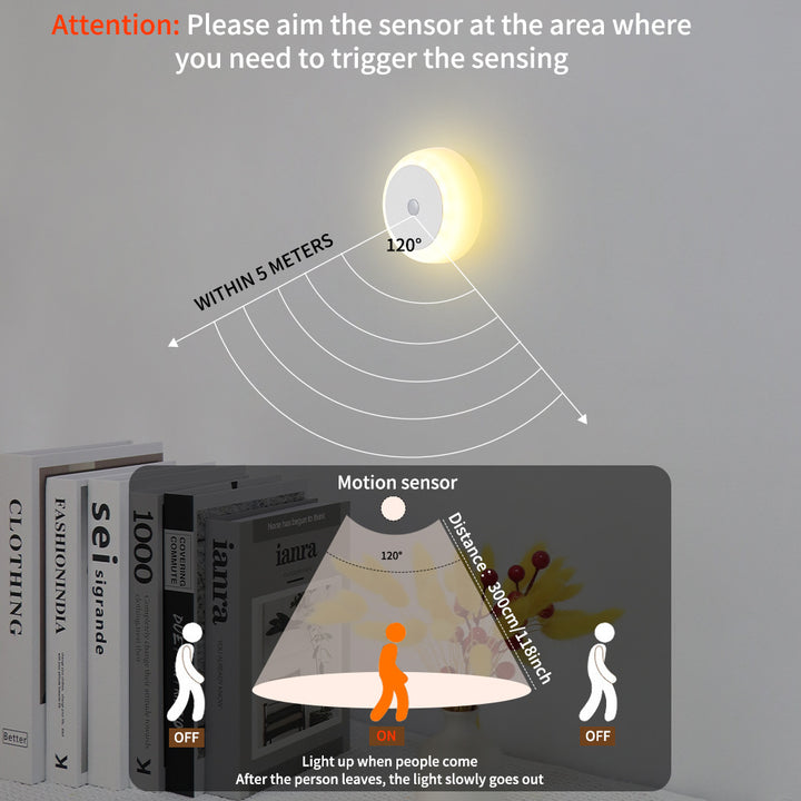 Motion Sensor Smart Light