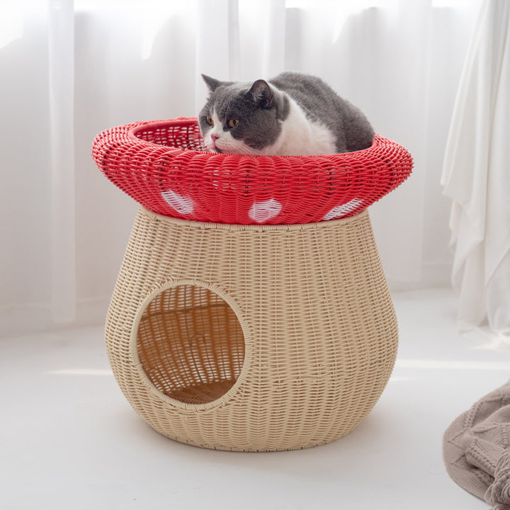 Cat bed with integrated sleeping area