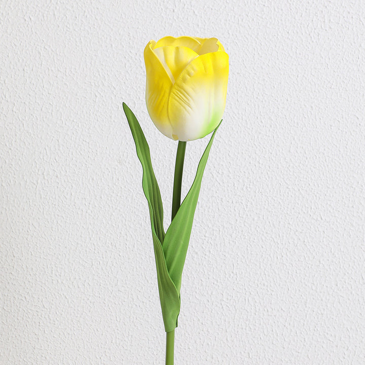 Decorative Art Tulip