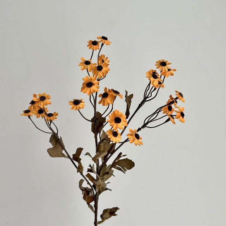 Decorative Dried Flowers