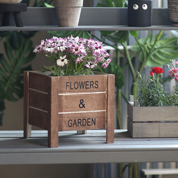 Decorative Plant Container