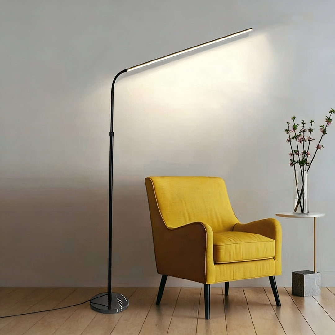 Modern LED Floor Lamp