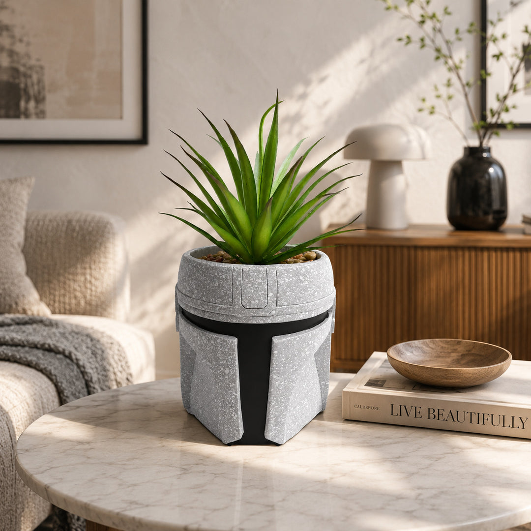 Decorative Plant Pot for Indoor Plants