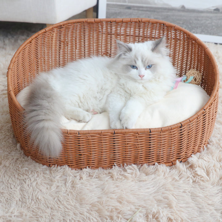 Pet bed