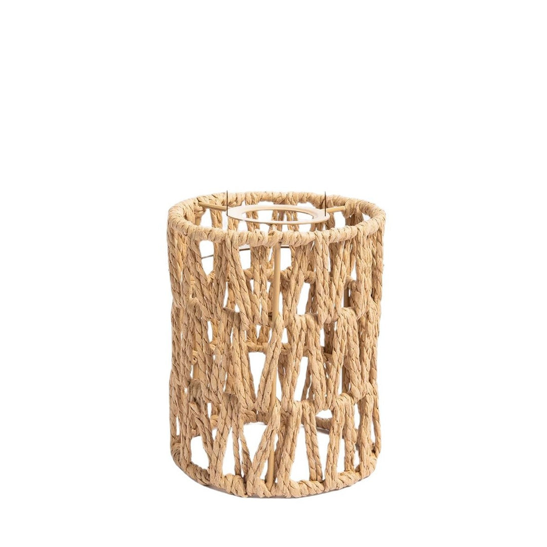 Decorative lampshade with modern design