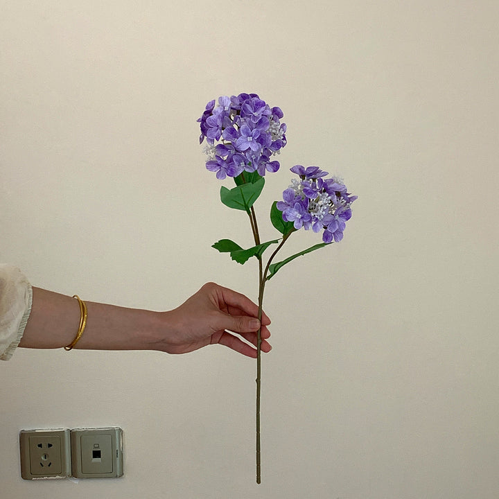 Realistic Hydrangea Stem