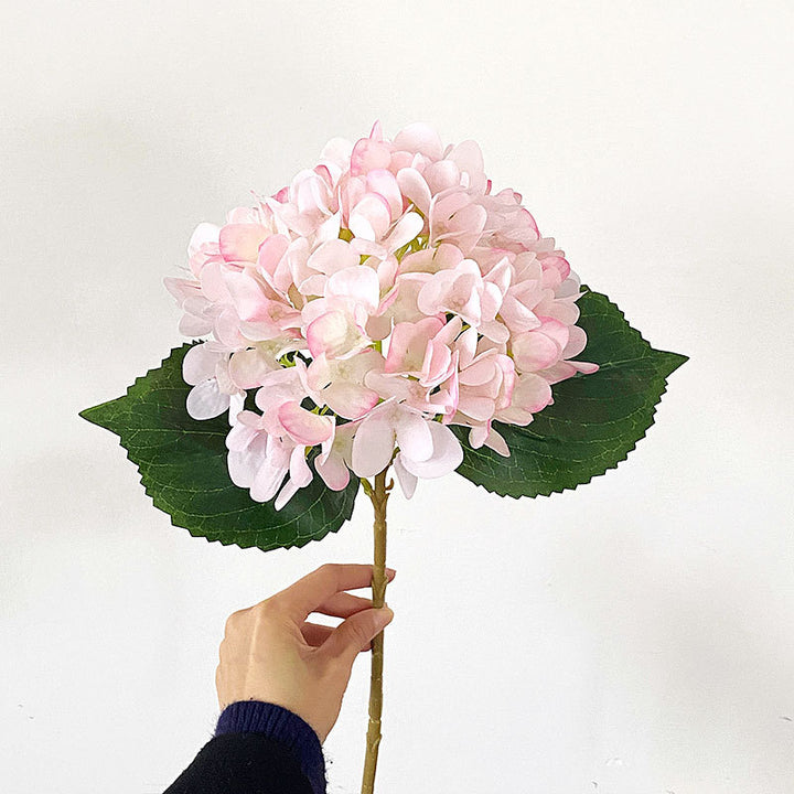 Premium Hydrangea Floral Stem