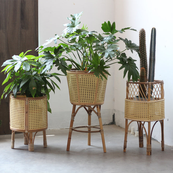 Stylish plant stand made of rattan