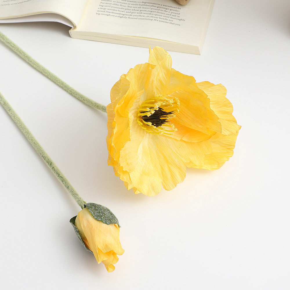 Realistic artistic poppy flower