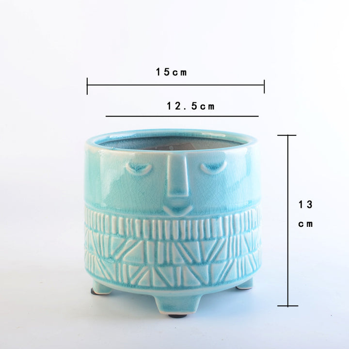 Decorative plant pot with facial features