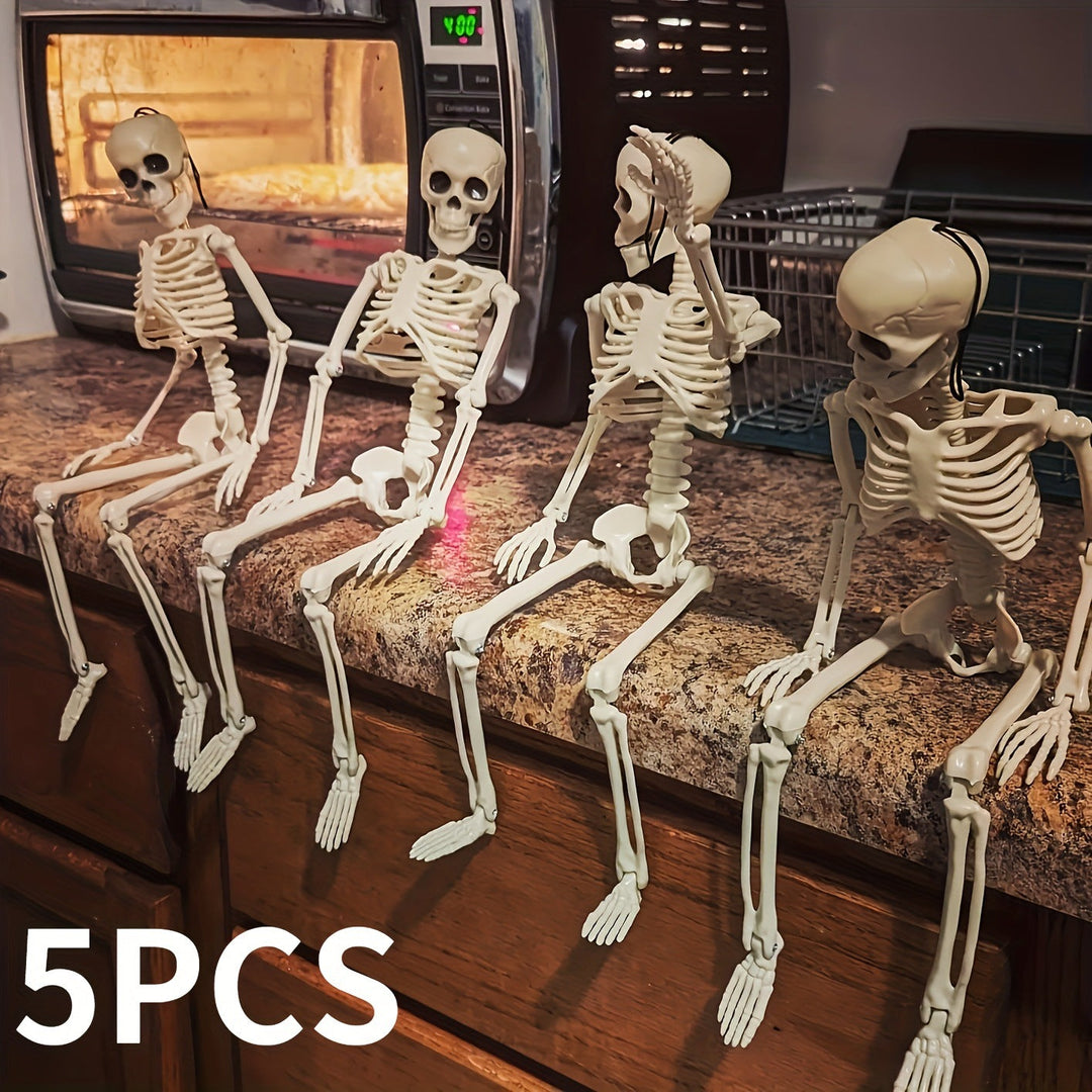 Anatomical teaching skeleton