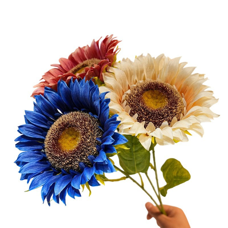Decorative Plant