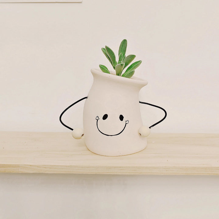 Decorative Plant Pot